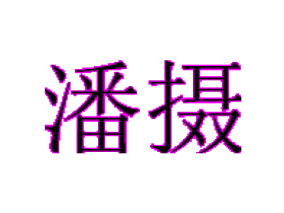 潘攝