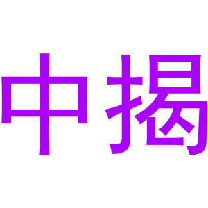 中揭