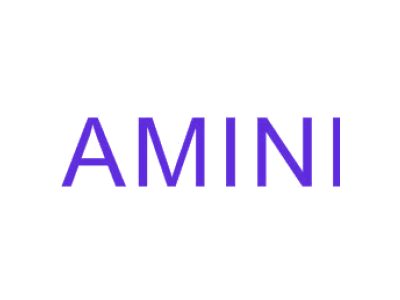 AMINI