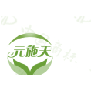 元施天
