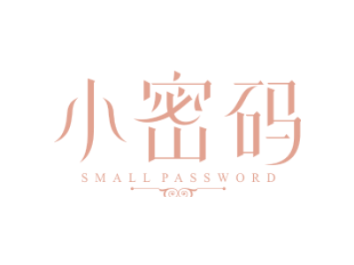 小密码 SMALL PASSWORD