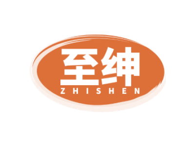 至绅ZHISHEN