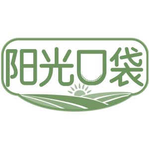 阳光口袋