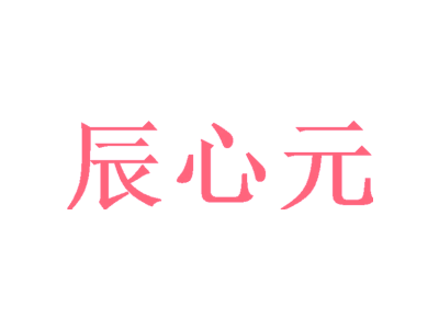 辰心元