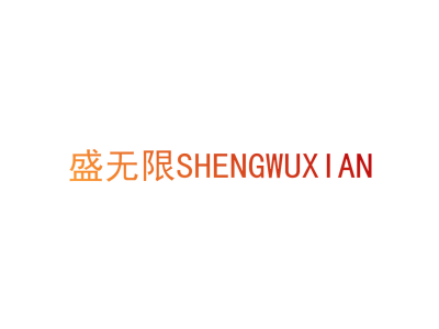 盛无限SHENGWUXIAN