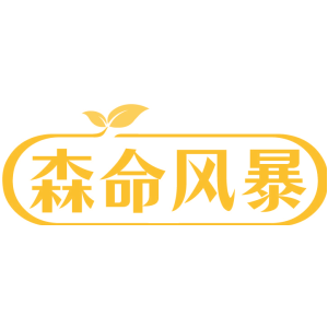 森命风暴