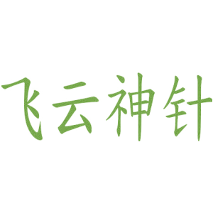 飞云神针