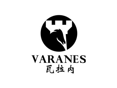 瓦拉内 VARANE
