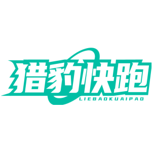 猎豹快跑