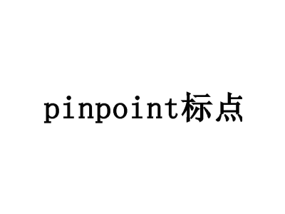 PINPOINT 标点