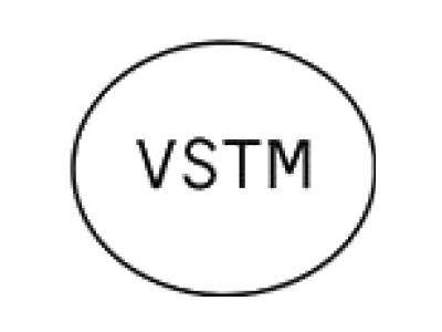 VSTM