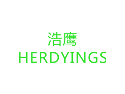 浩鹰 HERDYINGS