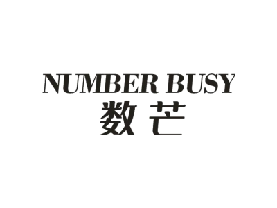 NUMBER BUSY 数芒