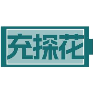 充探花