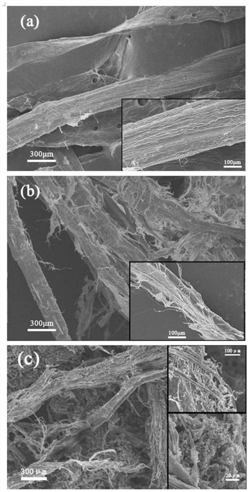 仿生蒼耳型抗菌抗病毒植物纖維的制備方法和應用-專利