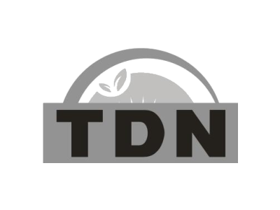 TDN商标图
