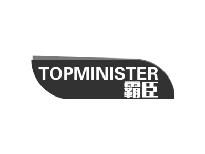 霸臣 TOPMINISTER商标图