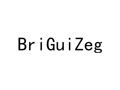 BRIGUIZEG商标图
