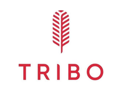 TRIBO商标图