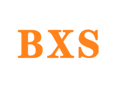 BXS商标图