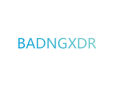 BADNGXDR商标图