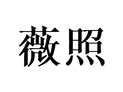 薇照weizhao商标图
