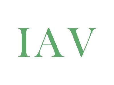 IAV商标图
