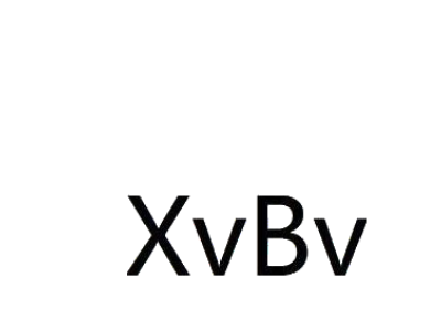 XVBV商标图