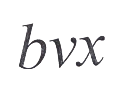 BVX商标图