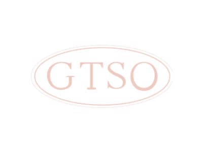 GTSO商标图
