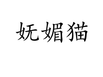 妩媚猫