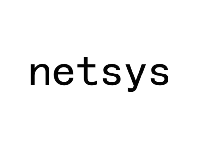 NETSYS商标图