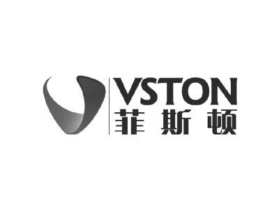 菲斯顿 VSTON商标图