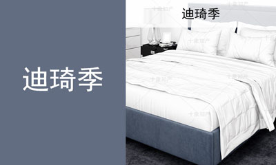 迪琦季