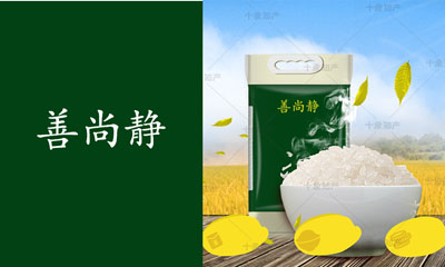 善尚静