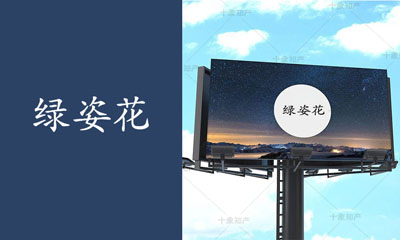 绿姿花