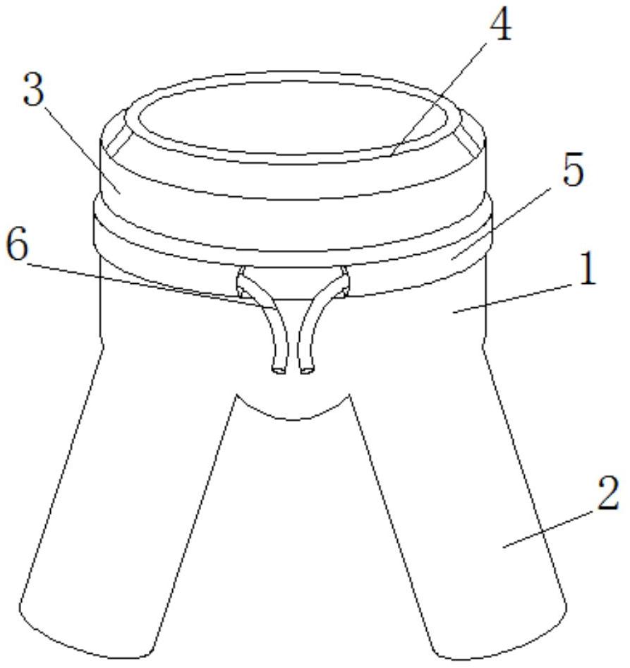 一种具有抑菌功能的纸尿裤专利图